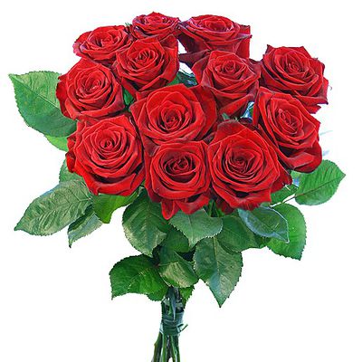 12 rote Rosen von Valentins auf blumen.de