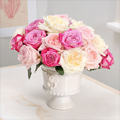 20 intensiv duftende Rosen (Trendy Fragrance, Pink O´Hara, White O´Hara) von Blume2000.de auf blumen.de