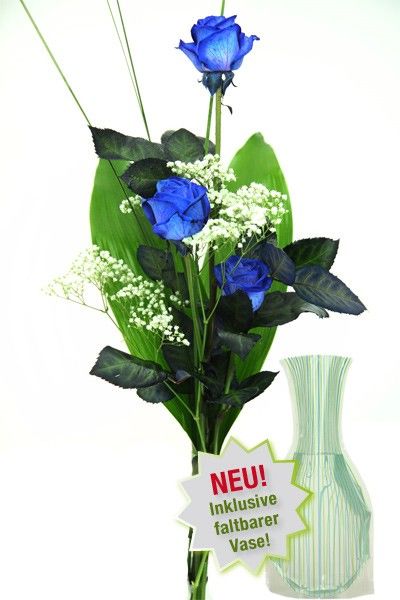 Drei edle blaue Rosen von Rosenbote.de auf blumen.de