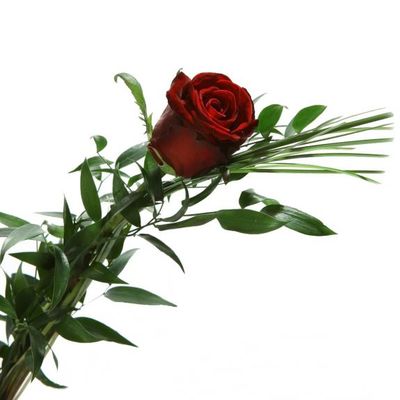 Einzelne rote Rose von Florito FlowerPost auf blumen.de