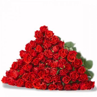 Rosenpaket rot von Florito FlowerPost auf blumen.de
