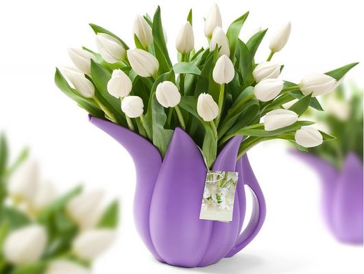 Weiße Tulpen in lila Gießkanne von Frederique's Choice auf blumen.de