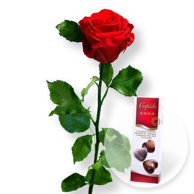 1 haltbare Rose in Rot von Valentins auf blumen.de