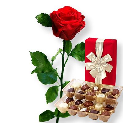 1 haltbare Rose rot von Valentins auf blumen.de