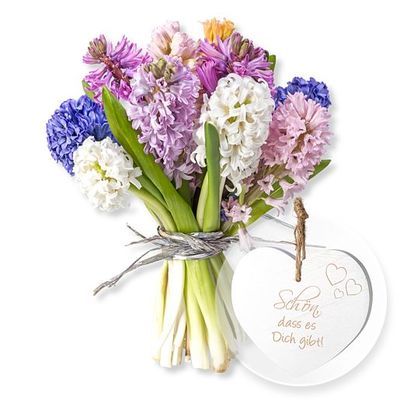 10 bunt gemischte Hyazinthen  von Valentins auf blumen.de