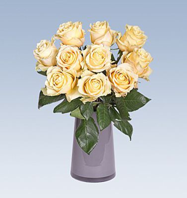 10 champagnerfarbene Ecuador-Rosen von Lidl Blumen auf blumen.de
