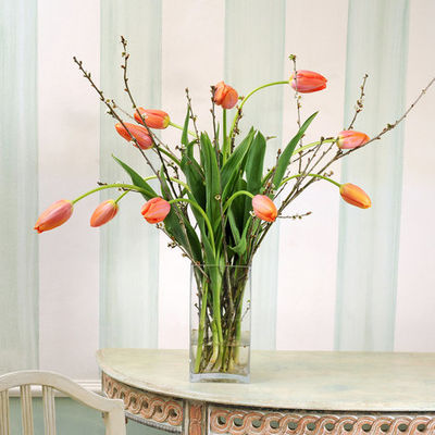 10 französische Tulpen  von Blume2000.de auf blumen.de