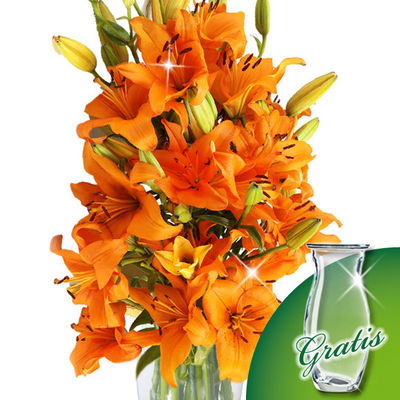 10 orange Lilien im Bund von FloraPrima auf blumen.de