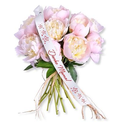 10 Pfingstrosen rosa  von Valentins auf blumen.de