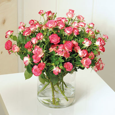 10 rosa Sprayrosen  von Blume2000.de auf blumen.de