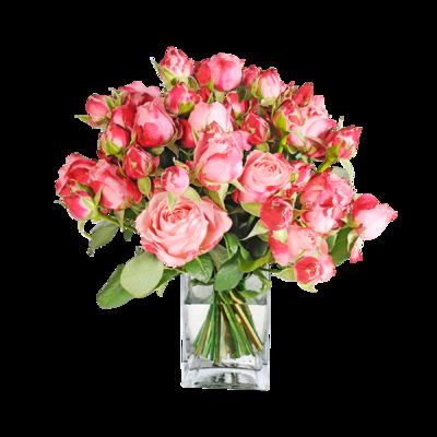 10 roséfarbene Rosen  von Blume2000.de auf blumen.de