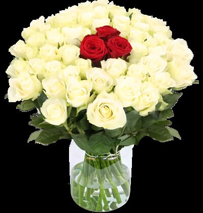 10 Rosen von Blume Ideal auf blumen.de