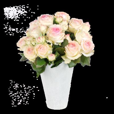10 Stiele Edelrosen  von Blume2000.de auf blumen.de