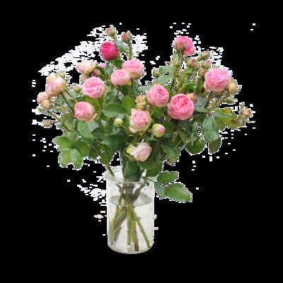 10 Stiele Rosafarbene Rosen von Blume2000.de auf blumen.de