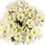 Weiße Feder-Chrsysanthemen von Blumenfee auf blumen.de