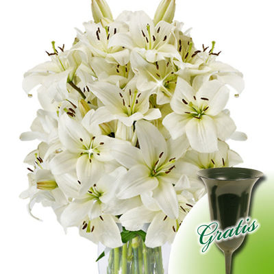 10 weiße Lilien  von FloraPrima auf blumen.de