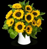 15 Sonnenblumen von Blume Ideal auf blumen.de