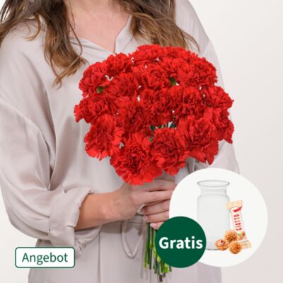 17 rote Frauentags-Nelken im Bund von FloraPrima auf blumen.de
