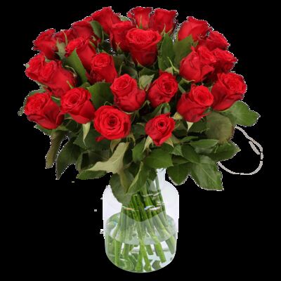 18 Rote Rosen von Blume Ideal auf blumen.de