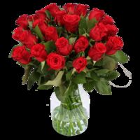 18 Rote Rosen von Blume Ideal auf blumen.de