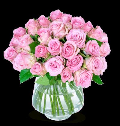 20 pinke Rosen von Blume Ideal auf blumen.de