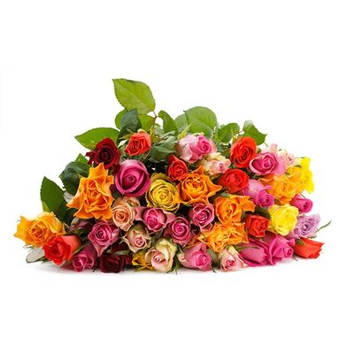 20 Bunte Rosen von Blume Ideal auf blumen.de