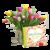 20 bunte Tulpen mit Buch 