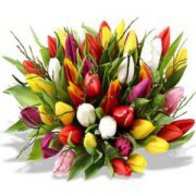 20 bunte Tulpen von Florito FlowerPost auf blumen.de