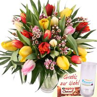 20 Bunte Tulpen mit Zugabe Ihrer Wahl von Blumenfee auf blumen.de