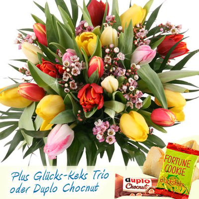 20 Bunte Tulpen mit Waxflower von Blumenfee auf blumen.de