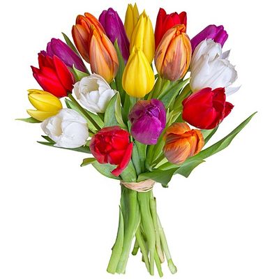 20 bunte Tulpen von Valentins auf blumen.de