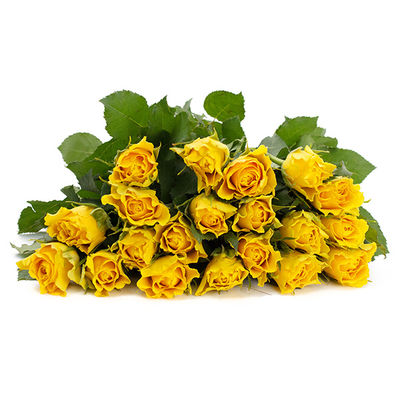 20 Gelbe Rosen von Blume Ideal auf blumen.de