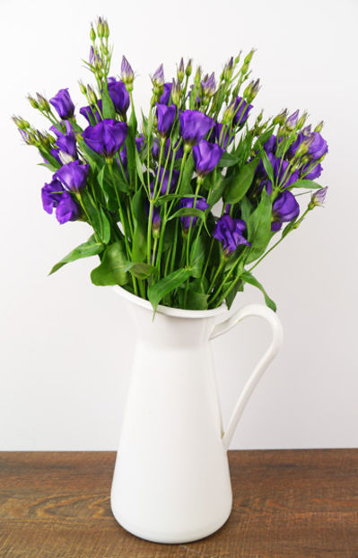 20 Lisianthus  von Duftgemüse auf blumen.de