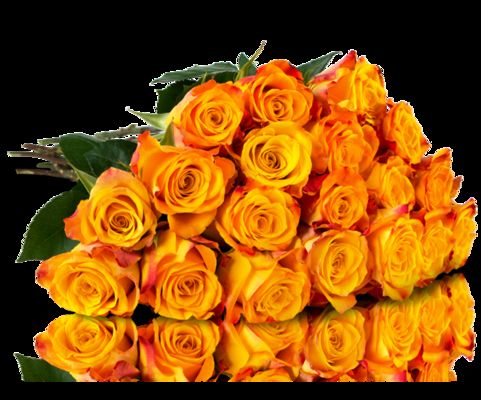 22 Rosen im Bund von MIFLORA auf blumen.de