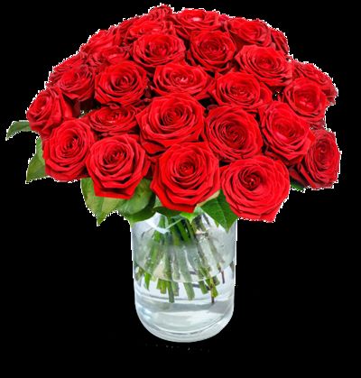 20 rote Premium-Rosen  von Blume Ideal auf blumen.de