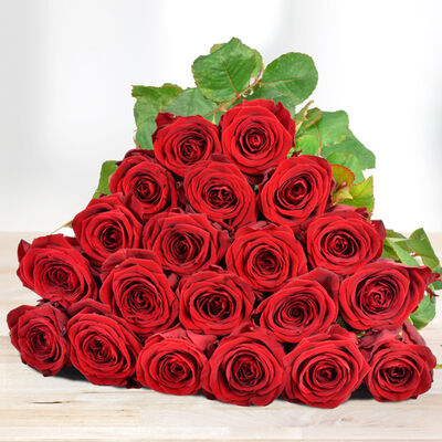 20 rote Rosen im Bund von Bluvesa auf blumen.de