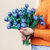 20 Tulpen Mystic Blue von Blume2000.de auf blumen.de