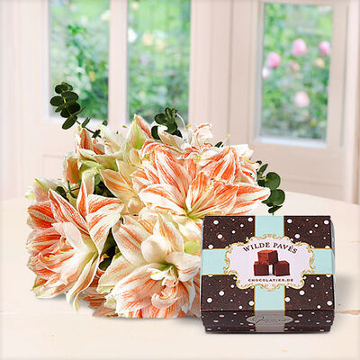 3 rosé, gefüllte Amaryllis mit Konfekt Wilde Pavès von Blume2000.de auf blumen.de