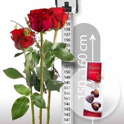 3 rote XXL-Rosen  von Valentins auf blumen.de