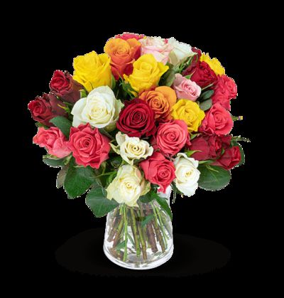 30 bunte Rosen von Blume Ideal auf blumen.de