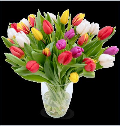 30 bunte Tulpen von Blume Ideal auf blumen.de