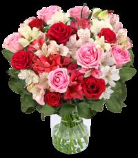 Rosenwunder mit bis zu 40 Blüten von Blume Ideal auf blumen.de