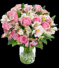 Sweet Surprise mit bis zu 40 Blüten von Blume Ideal auf blumen.de