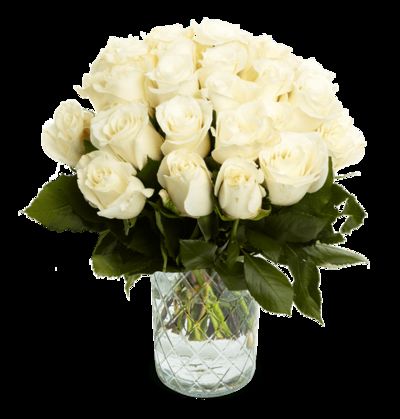 30 weiße Rosen von Blume Ideal auf blumen.de