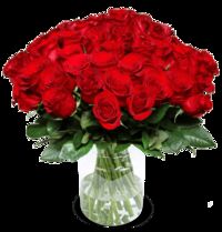 31 Rote Rosen von Blume Ideal auf blumen.de