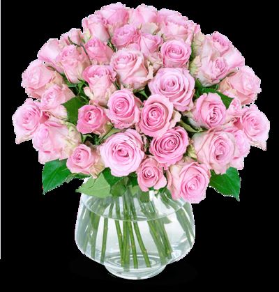 33 pinke Rosen  von Blume Ideal auf blumen.de