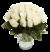 40 weiße Rosen (40cm) von Blume Ideal auf blumen.de