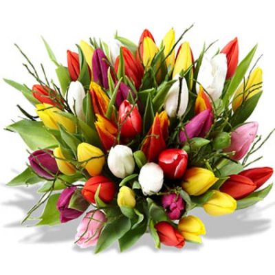 35 bunte Tulpen von Florito FlowerPost auf blumen.de