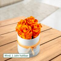 4 orange haltbare Rosen von FloraPrima auf blumen.de