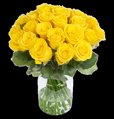 40 gelbe Rosen von Blume Ideal auf blumen.de